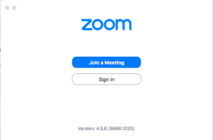 zoom video conferencing online skin consultation